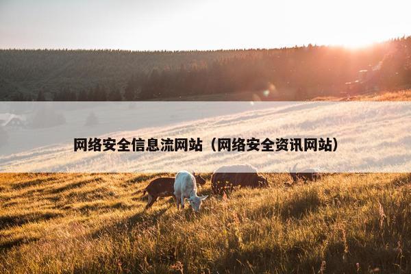 网络安全信息流网站（网络安全资讯网站）