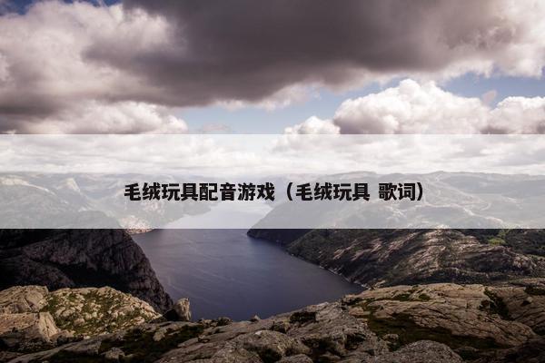 毛绒玩具配音游戏（毛绒玩具 歌词）