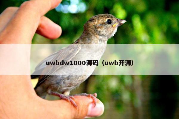 uwbdw1000源码（uwb开源）