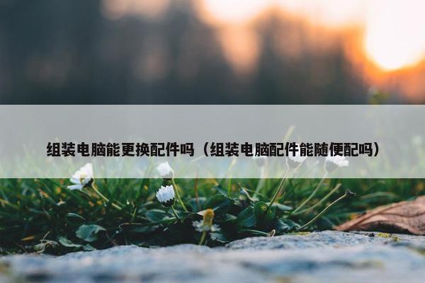 组装电脑能更换配件吗（组装电脑配件能随便配吗）