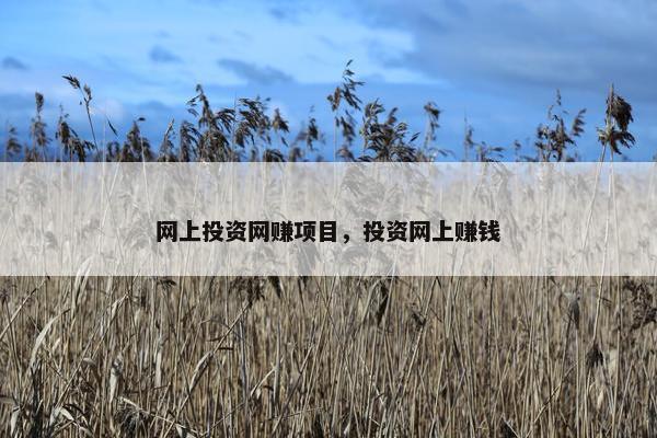 网上投资网赚项目，投资网上赚钱
