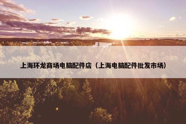 上海环龙商场电脑配件店（上海电脑配件批发市场）