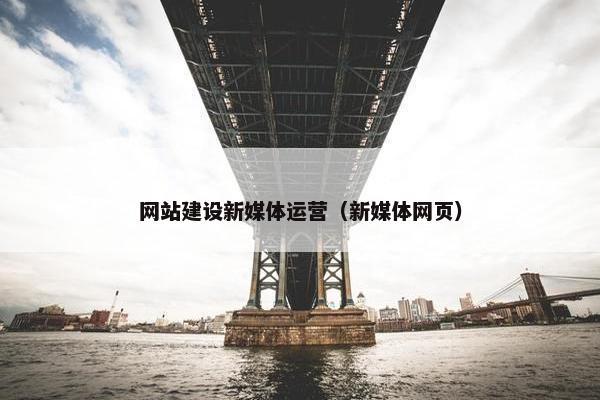 网站建设新媒体运营（新媒体网页）