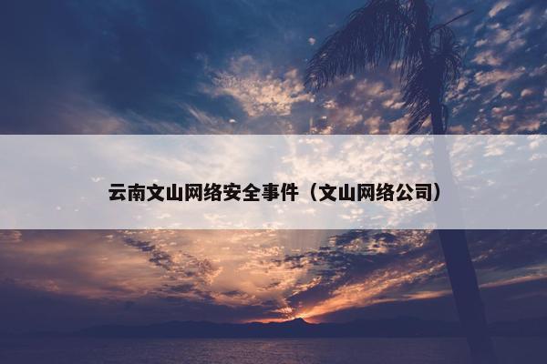云南文山网络安全事件（文山网络公司）
