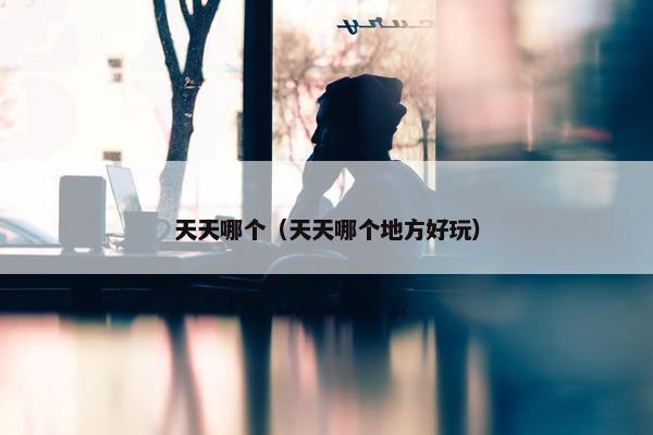 天天哪个（天天哪个地方好玩）