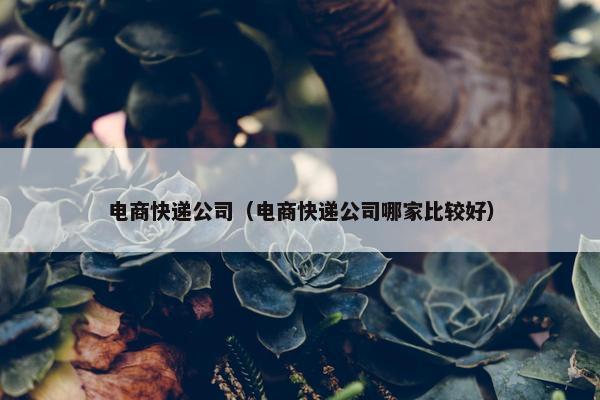 电商快递公司（电商快递公司哪家比较好）