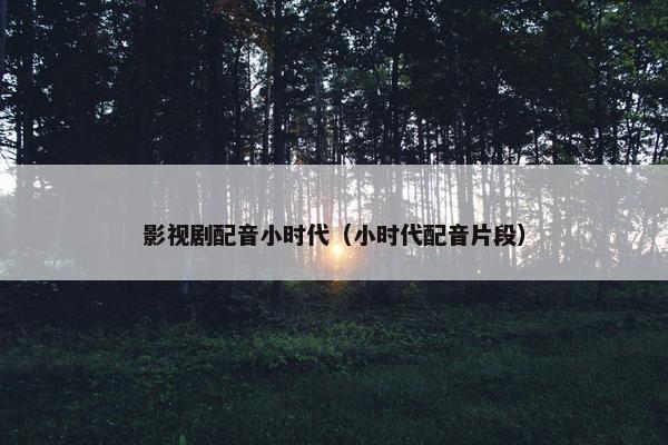 影视剧配音小时代（小时代配音片段）