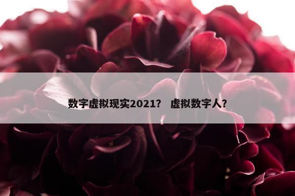 数字虚拟现实2021？ 虚拟数字人？