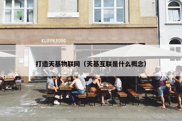 打造天基物联网（天基互联是什么概念）