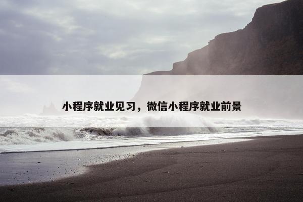 小程序就业见习，微信小程序就业前景