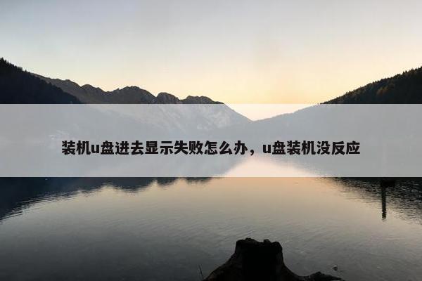 装机u盘进去显示失败怎么办，u盘装机没反应