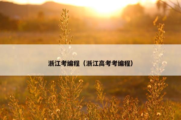 浙江考编程（浙江高考考编程）