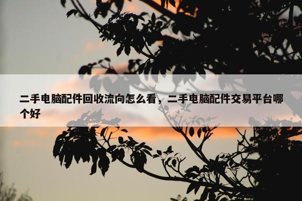 二手电脑配件回收流向怎么看，二手电脑配件交易平台哪个好