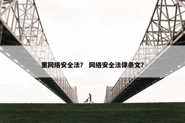 里网络安全法？ 网络安全法律条文？
