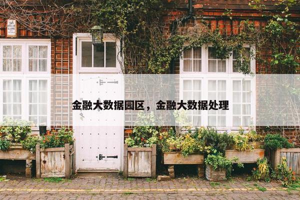 金融大数据园区，金融大数据处理