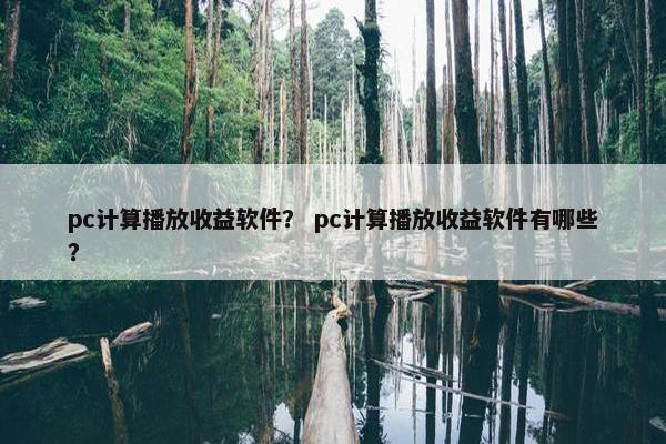 pc计算播放收益软件？ pc计算播放收益软件有哪些？
