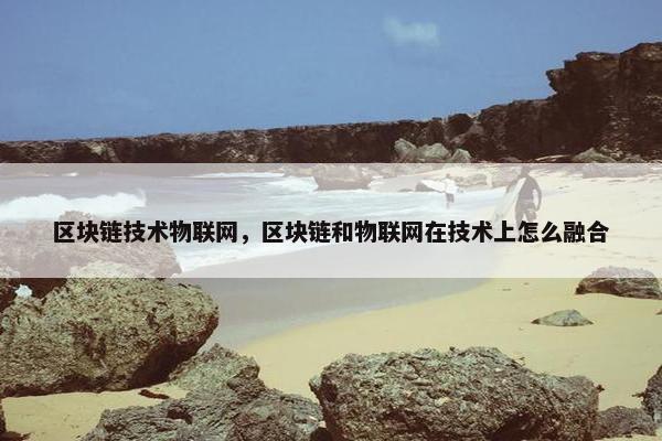 区块链技术物联网，区块链和物联网在技术上怎么融合