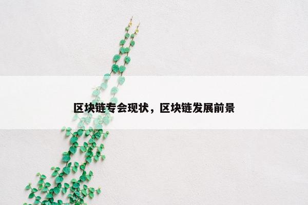区块链专会现状，区块链发展前景