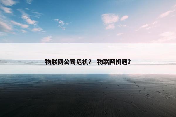 物联网公司危机？ 物联网机遇？