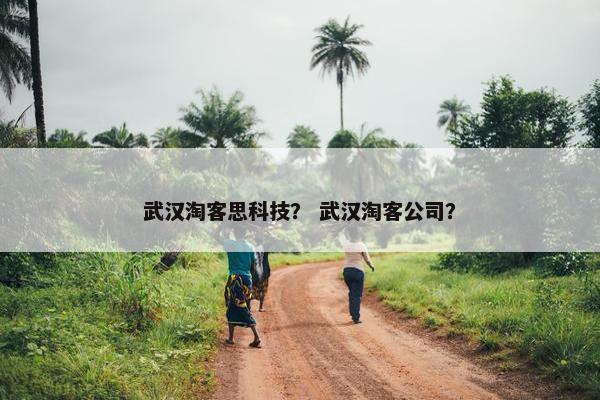 武汉淘客思科技？ 武汉淘客公司？
