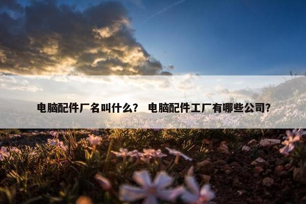 电脑配件厂名叫什么？ 电脑配件工厂有哪些公司？