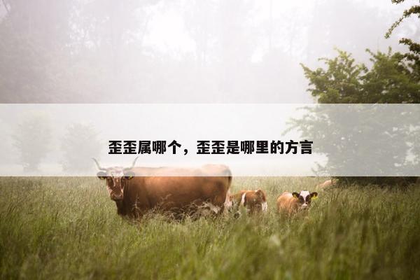 歪歪属哪个，歪歪是哪里的方言
