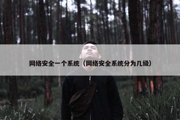 网络安全一个系统（网络安全系统分为几级）