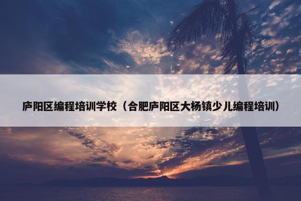 庐阳区编程培训学校（合肥庐阳区大杨镇少儿编程培训）