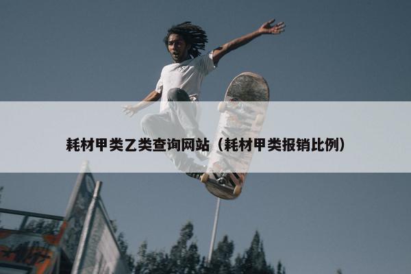 耗材甲类乙类查询网站（耗材甲类报销比例）