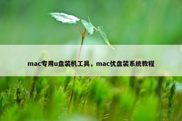 mac专用u盘装机工具，mac优盘装系统教程