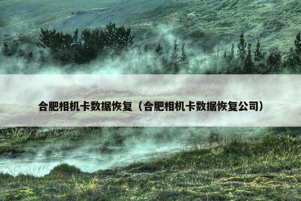 合肥相机卡数据恢复（合肥相机卡数据恢复公司）