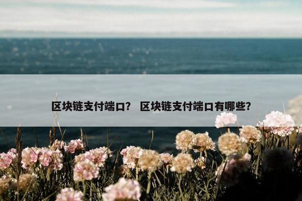 区块链支付端口？ 区块链支付端口有哪些？