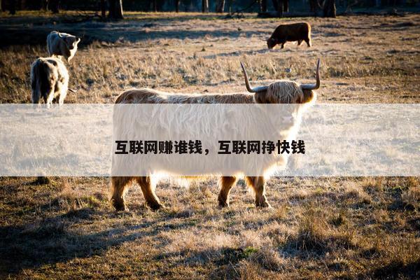 互联网赚谁钱，互联网挣快钱