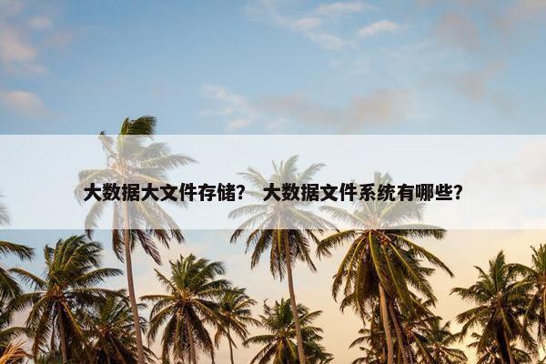 大数据大文件存储？ 大数据文件系统有哪些？