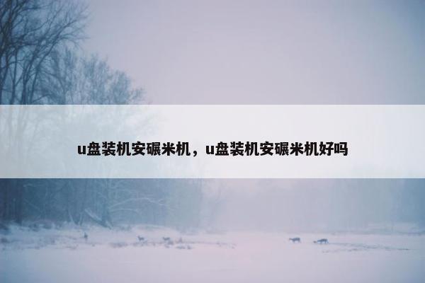 u盘装机安碾米机，u盘装机安碾米机好吗