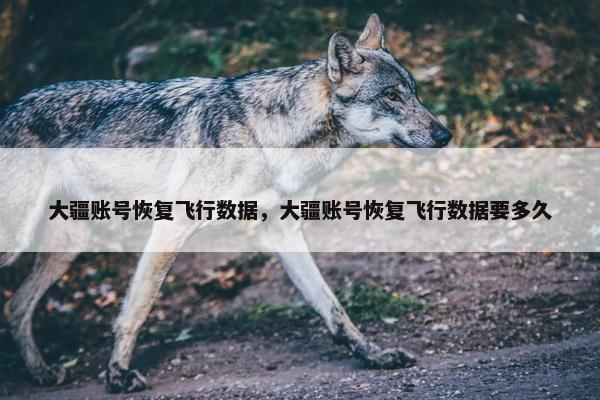 大疆账号恢复飞行数据，大疆账号恢复飞行数据要多久