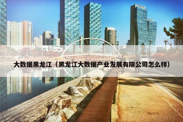 大数据黑龙江（黑龙江大数据产业发展有限公司怎么样）