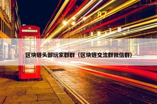 区块链头部玩家群群（区块链交流群微信群）