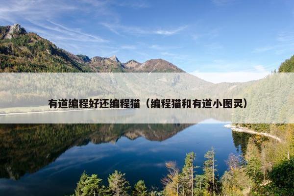 有道编程好还编程猫（编程猫和有道小图灵）