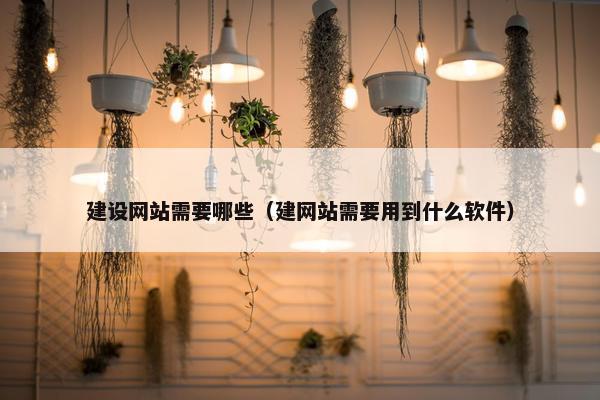 建设网站需要哪些（建网站需要用到什么软件）