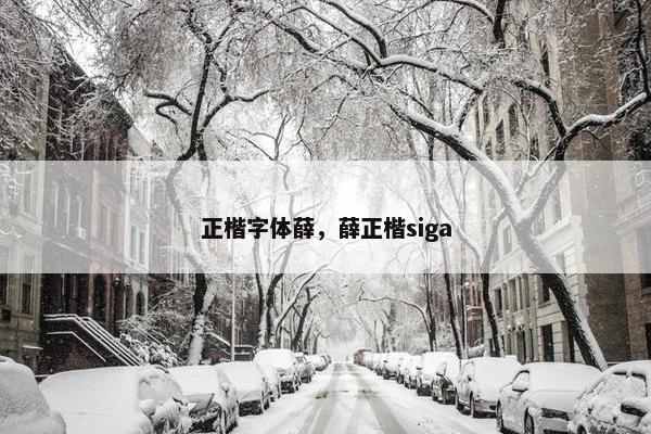正楷字体薛，薛正楷siga