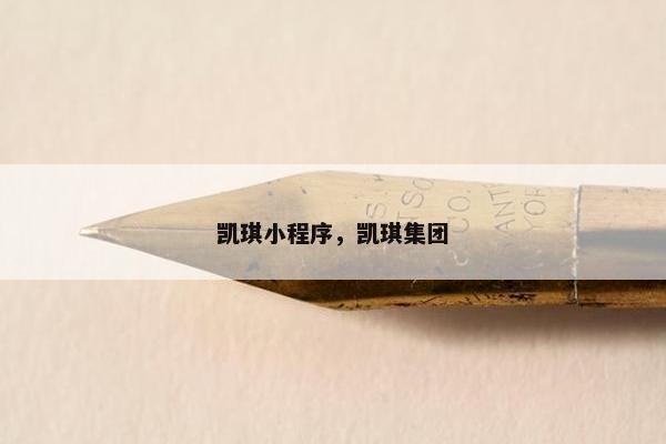 凯琪小程序，凯琪集团