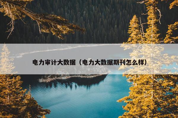 电力审计大数据（电力大数据期刊怎么样）