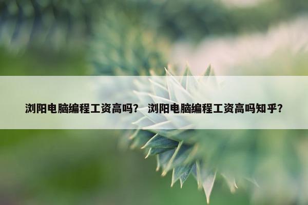 浏阳电脑编程工资高吗？ 浏阳电脑编程工资高吗知乎？