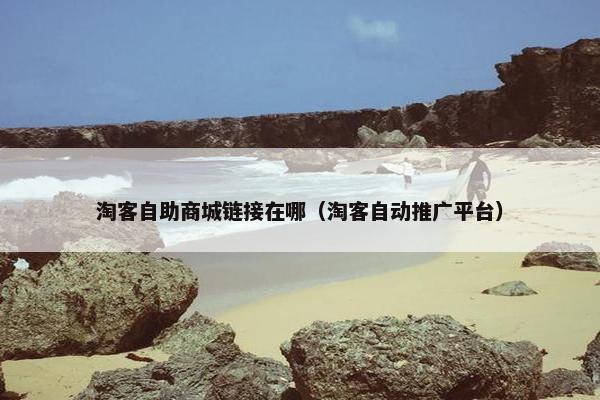 淘客自助商城链接在哪（淘客自动推广平台）