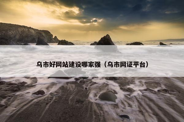 乌市好网站建设哪家强（乌市网证平台）