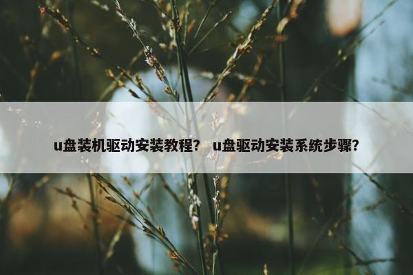 u盘装机驱动安装教程？ u盘驱动安装系统步骤？
