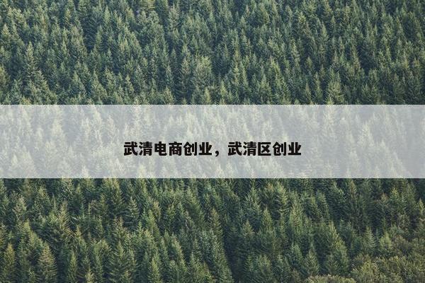 武清电商创业，武清区创业