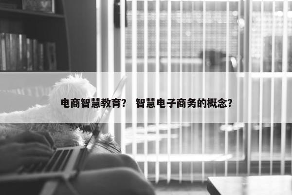 电商智慧教育？ 智慧电子商务的概念？