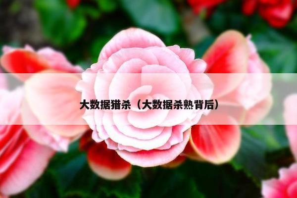 大数据猎杀（大数据杀熟背后）